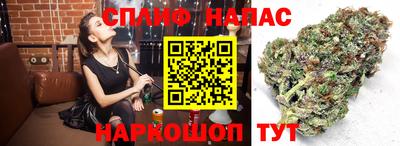гидра Моздок