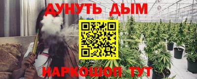 гидра Моздок
