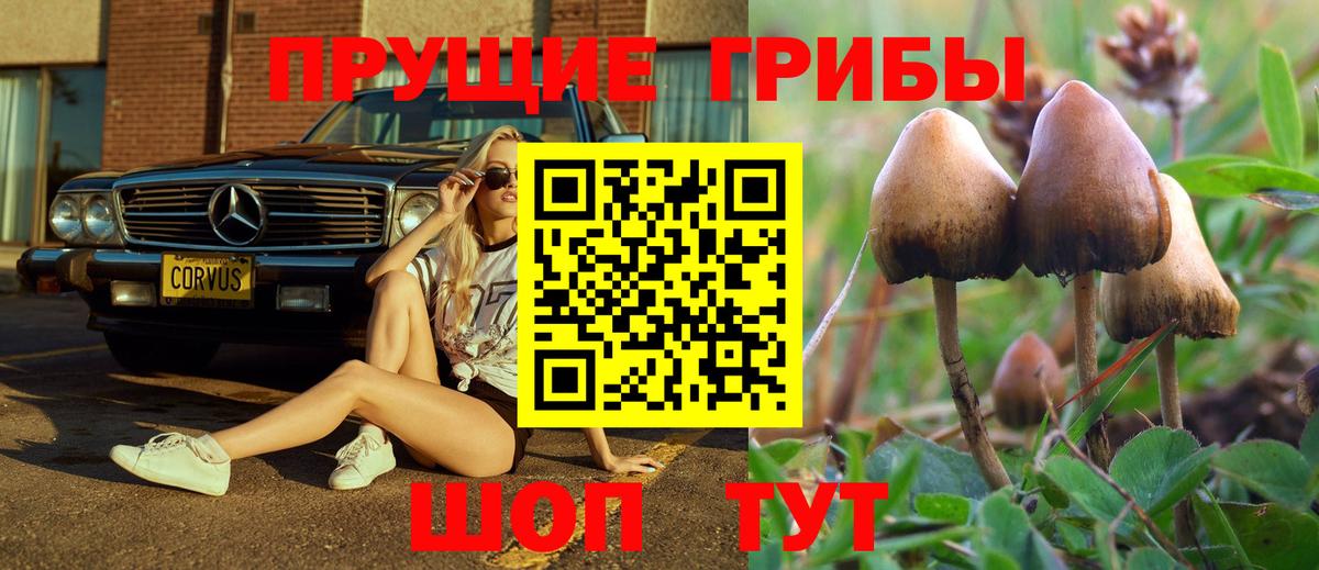 Псилоцибиновые грибы ЛСД Туапсе